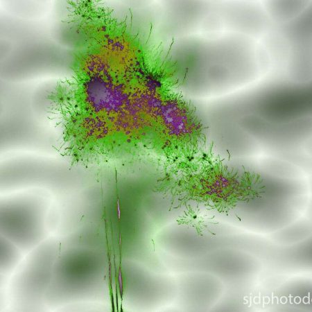 abstract green picture