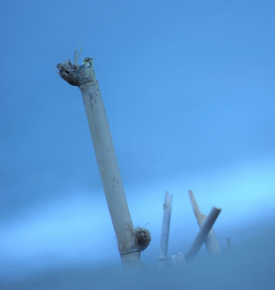 Three Sticks